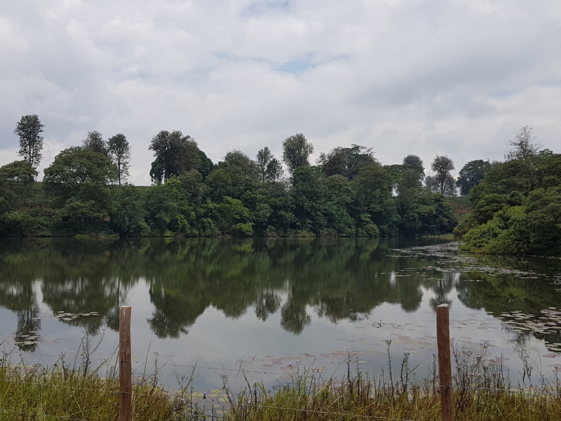 Structural Audit Investigation for the Existing Five Earth Dams, Kiambu County