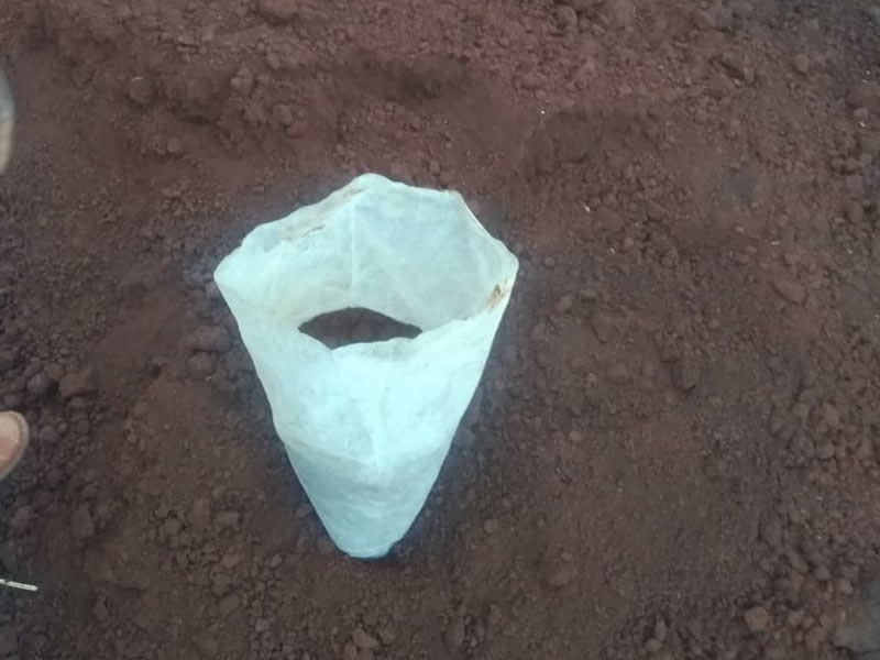 Geotechnical Investigation for the Proposed Residential Development, Kikuyu, Kiambu County